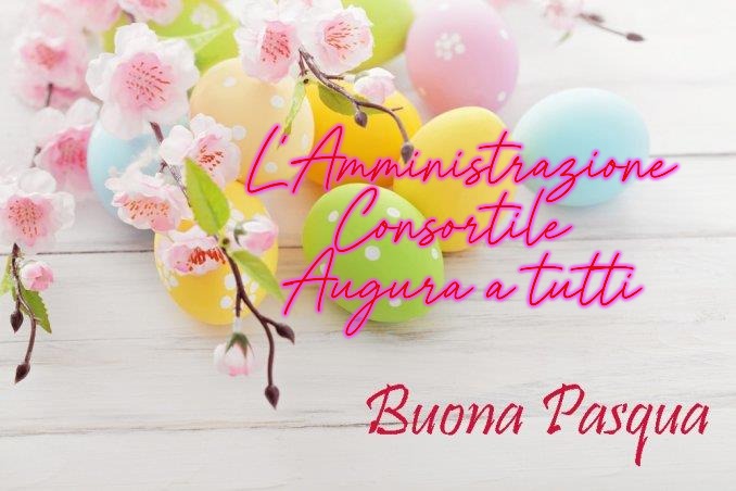 Auguri